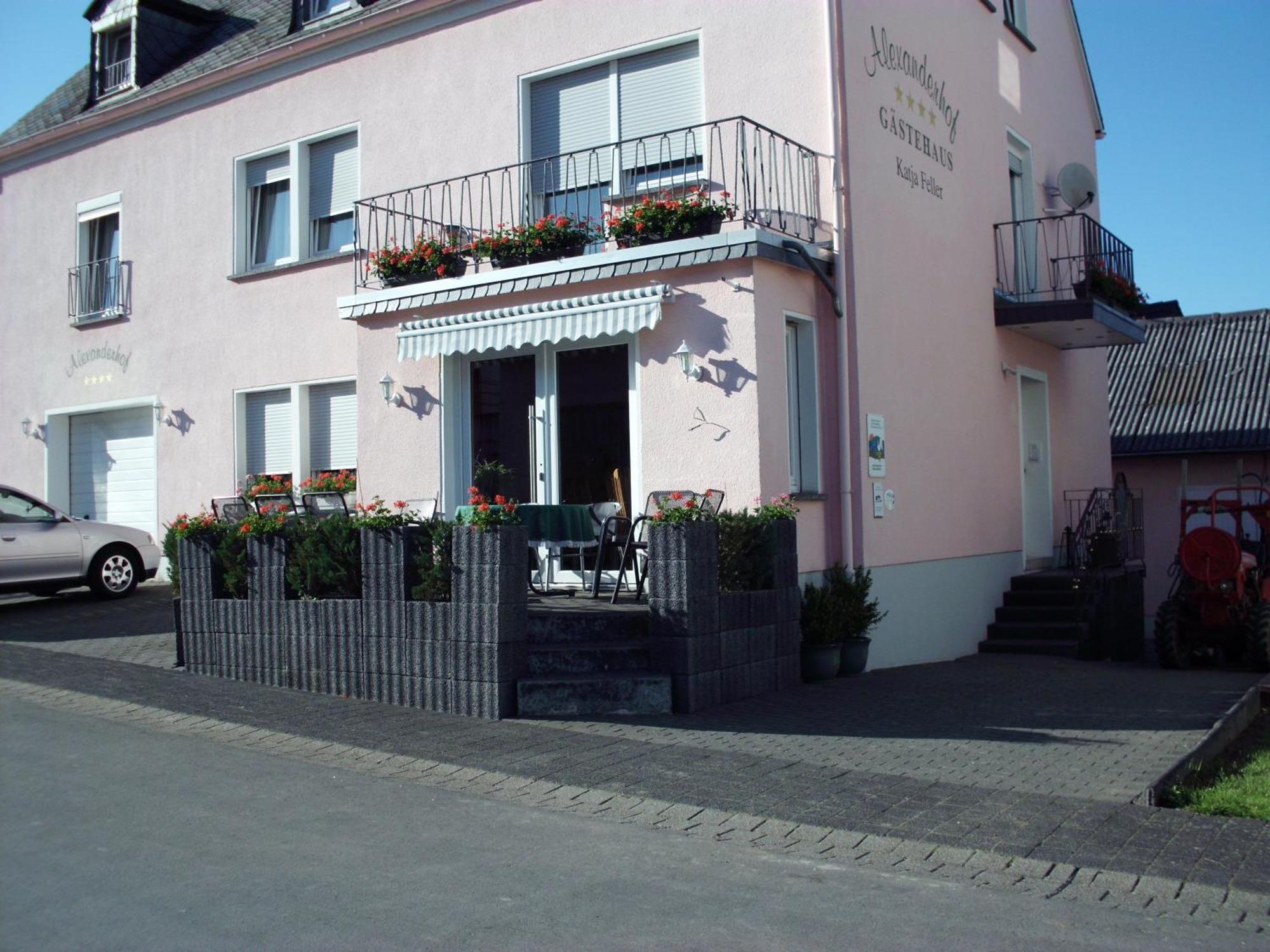 Gaestehaus Alexanderhof Leiwen Exterior photo